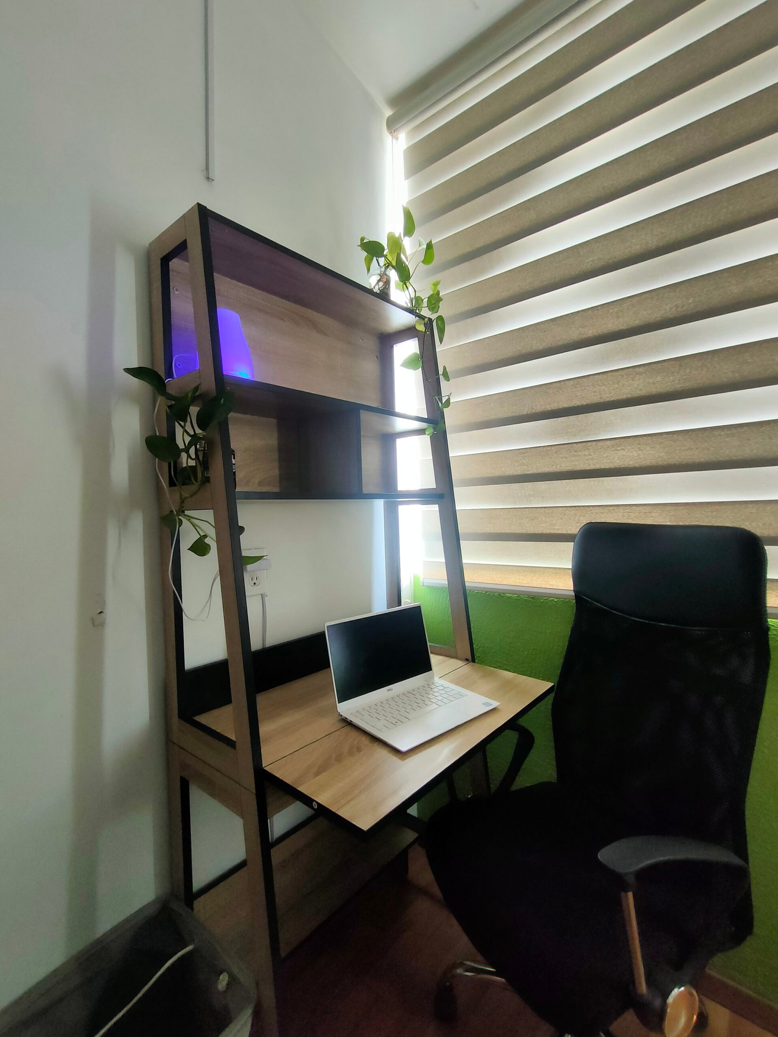 Escritorio con laptop y plantas decorativas