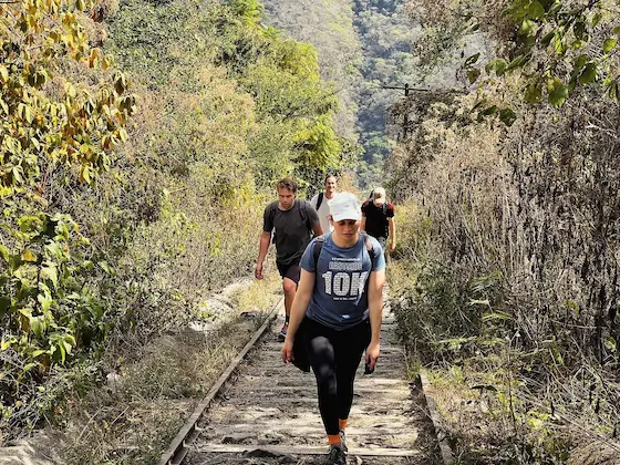 Excursionistas caminando por sendero en la naturaleza
